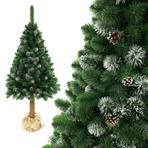 Choinka - Sosna diamentowa Premium na pniu 220 cm Choinka - Sosna diamentowa Premium na pniu 220 cm