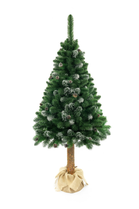 Choinka - Sosna diamentowa Premium na pniu 220 cm Choinka - Sosna diamentowa Premium na pniu 220 cm