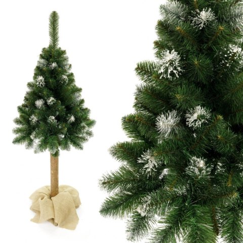 Choinka - Sosna diamentowa na pniu 160 cm