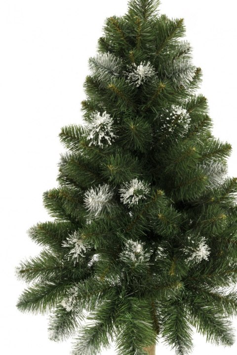 Choinka - Sosna diamentowa na pniu 160 cm