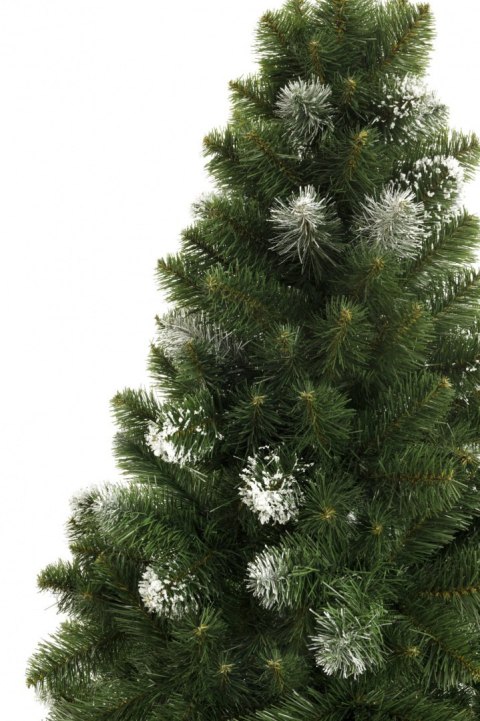 Choinka - Sosna diamentowa na pniu 180cm Choinka - Sosna diamentowa na pniu 180cm