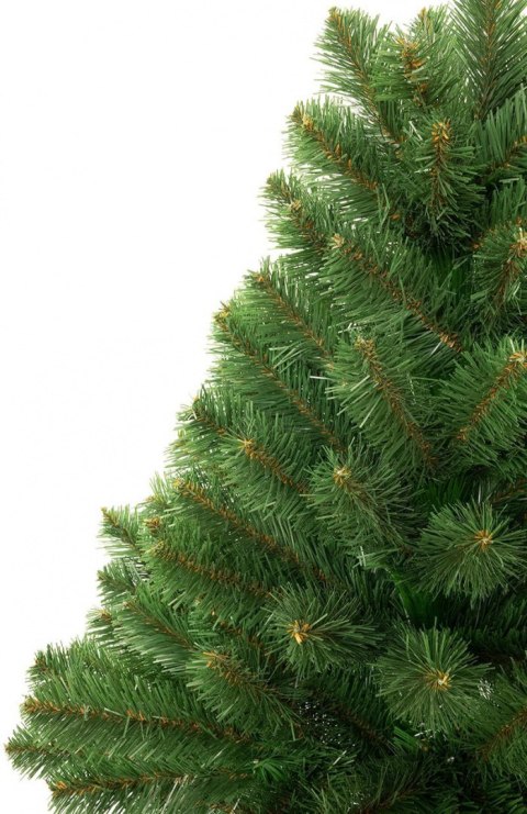 Choinka - Świerk kaukaski na pniu 160 cm Choinka - Świerk kaukaski na pniu 160 cm